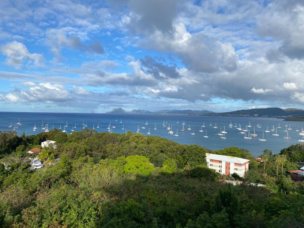 Superbe Appartement Vue Sur Mer Sainte-Anne Eksteriør billede